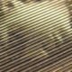 Lithophanie Streifenbild Frau Gesicht Lithophanie Streifenbild Frau Gesicht