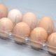 Tiefziehen Eierschachtel Tiefziehen Eierschachtel